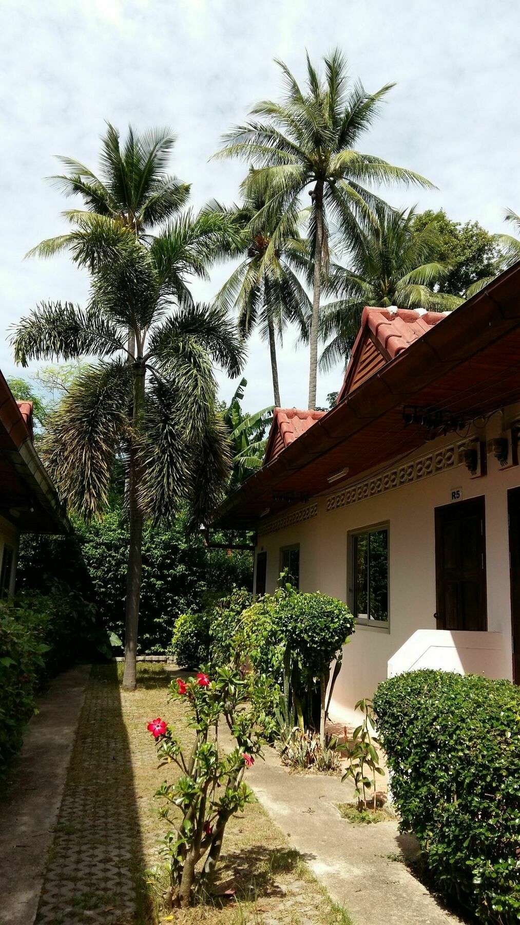 Saver Guesthouse شاطئ تشاوينغ المظهر الخارجي الصورة